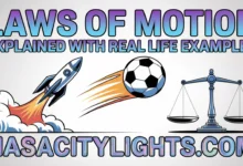 Laws of Motion Explained with Real Life Examples