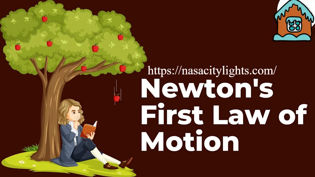 Laws of Motion Explained with Real Life Examples