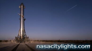 Starship SpaceX