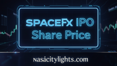 SpaceX IPO Share Price