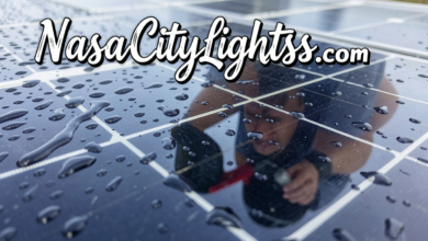 Solar Panel Cleaning