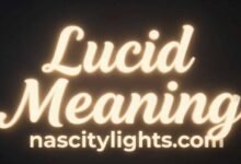 Lucid Meaning