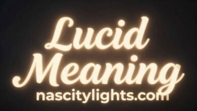 Lucid Meaning