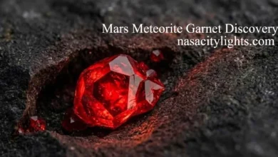 Mars Meteorite Garnet Discovery