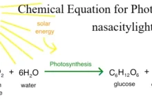 Chemical Equation for Photosynthesis