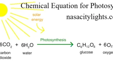 Chemical Equation for Photosynthesis