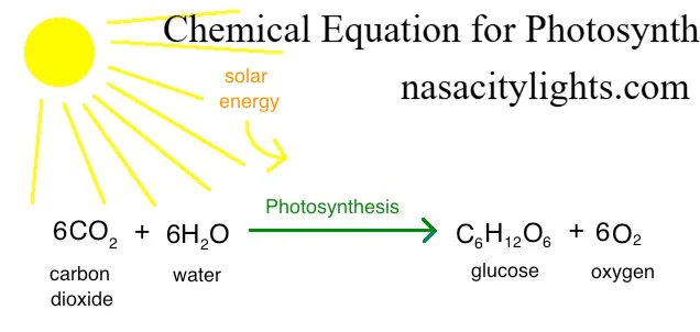 Chemical Equation for Photosynthesis