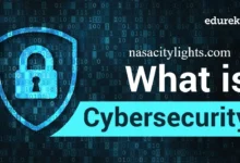 What Is Cybersecurity Software